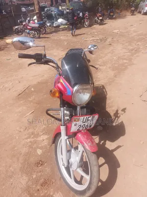 Bajaj Boxer 125 2023 Red