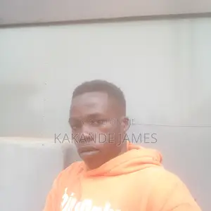 Cleaners to Work in Ntinda