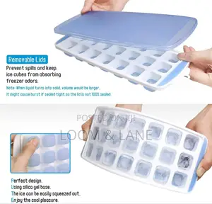 Ice Cube Tray With Removable Plastic Lid