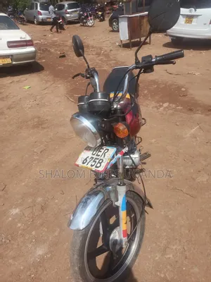 Bajaj Boxer 100 2019 Red