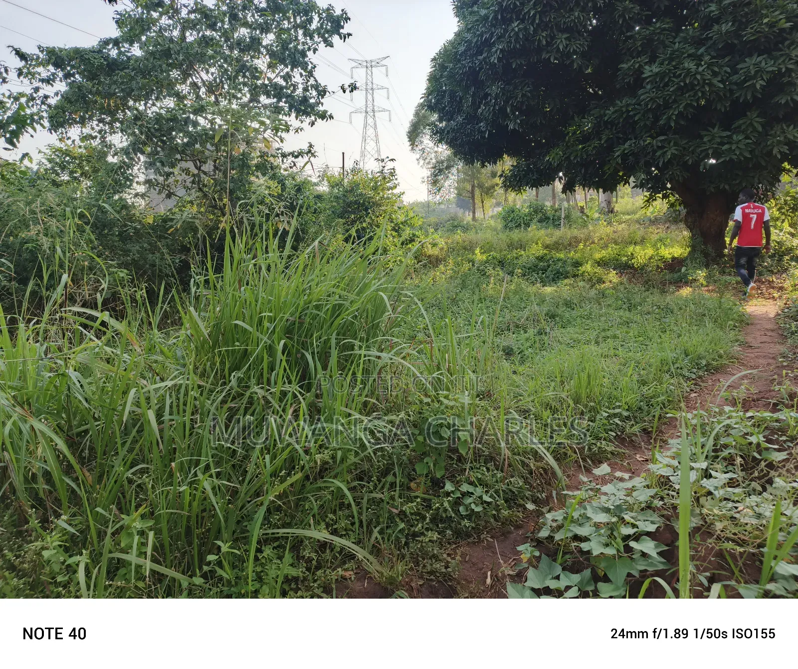 100by50ft Plot for Sale in Buwate