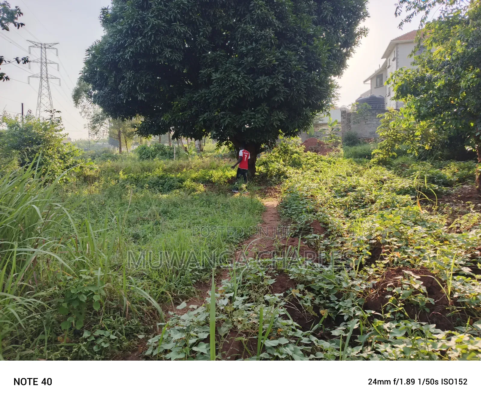 100by50ft Plot for Sale in Buwate