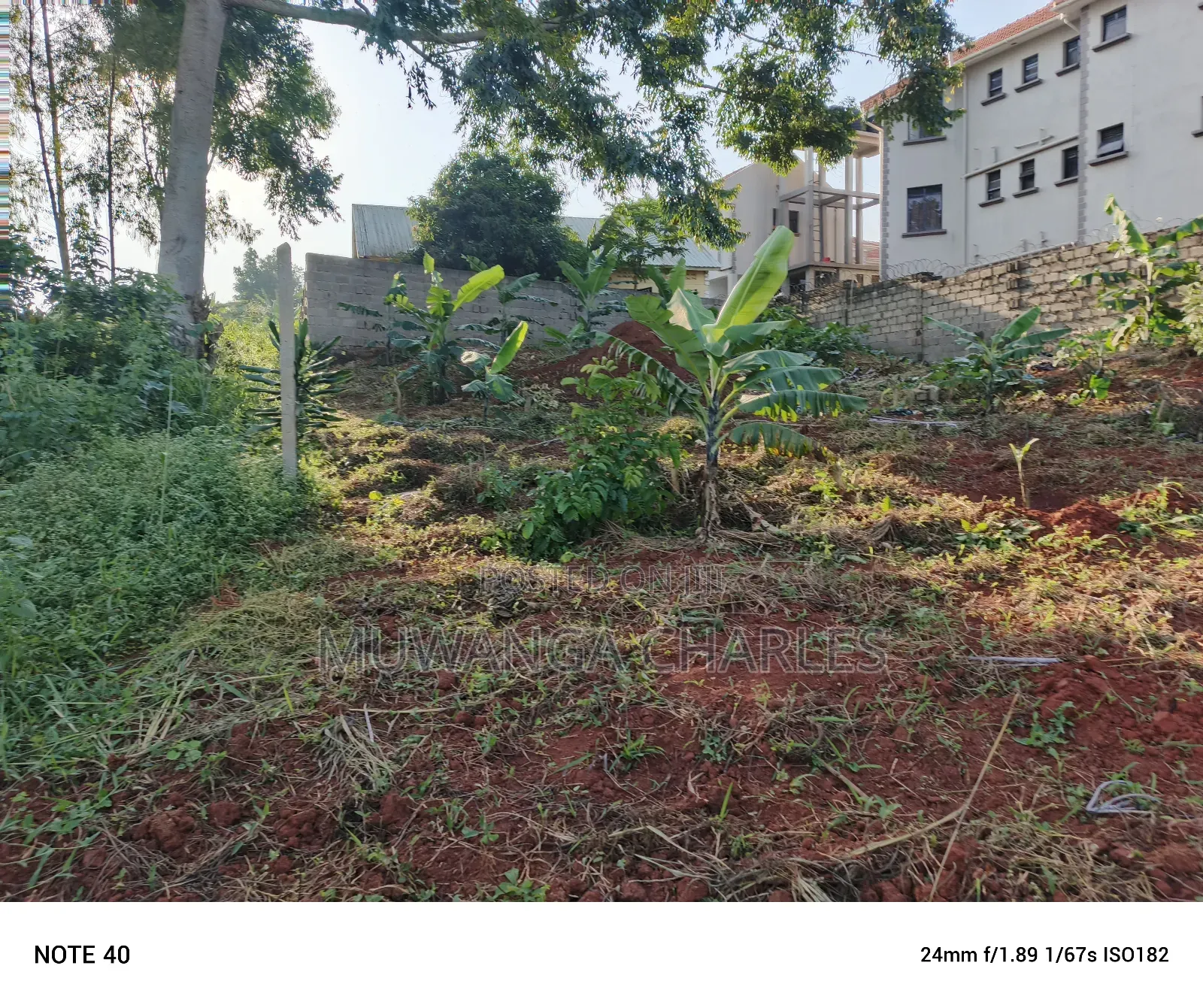 100by50ft Plot for Sale in Buwate