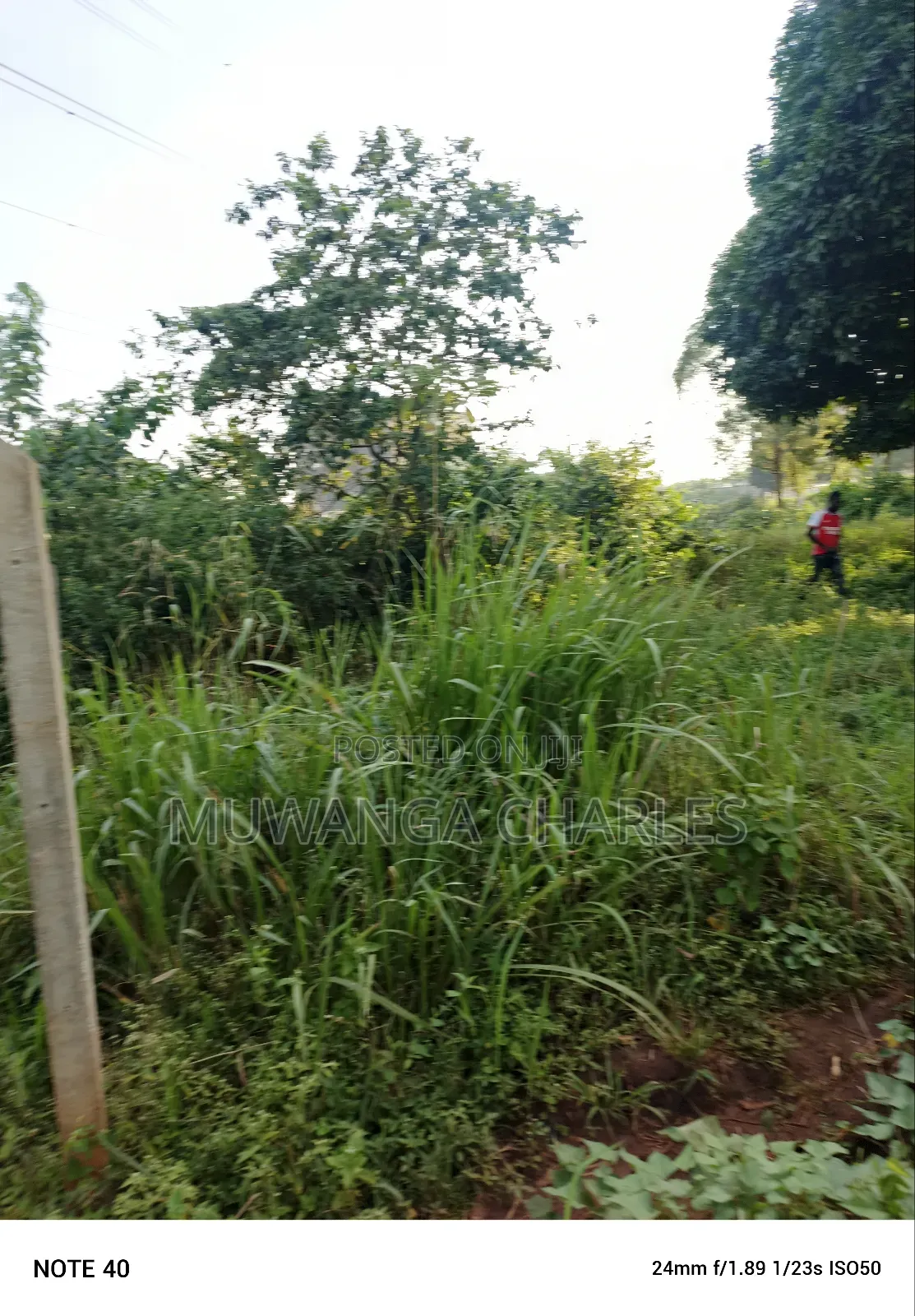 100by50ft Plot for Sale in Buwate