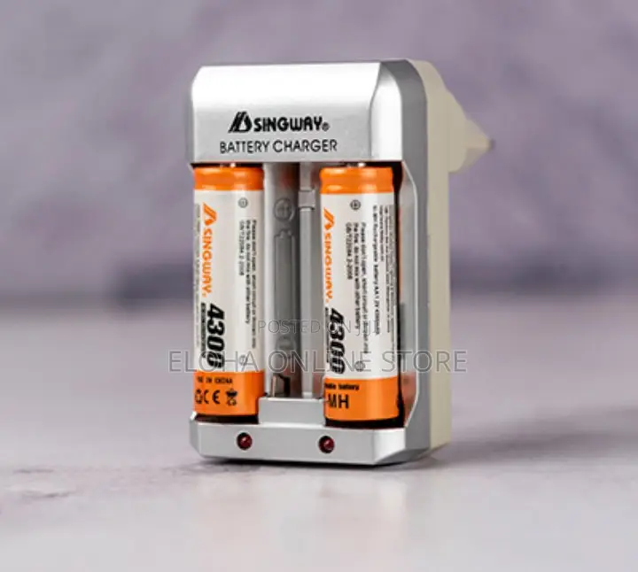 Singway Battery Charger With 2 Batteries