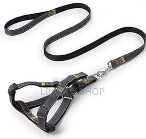 Durable Dog Collar Harness Leach