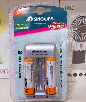 Singway Rechargeable Battery Charger
