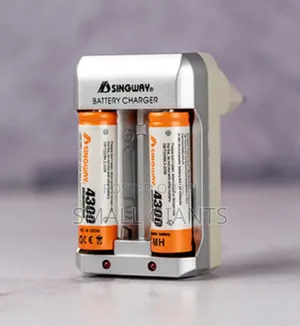Singway Rechargeable Battery Charger