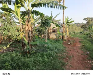 100by50ft Plot for Sale in Magere