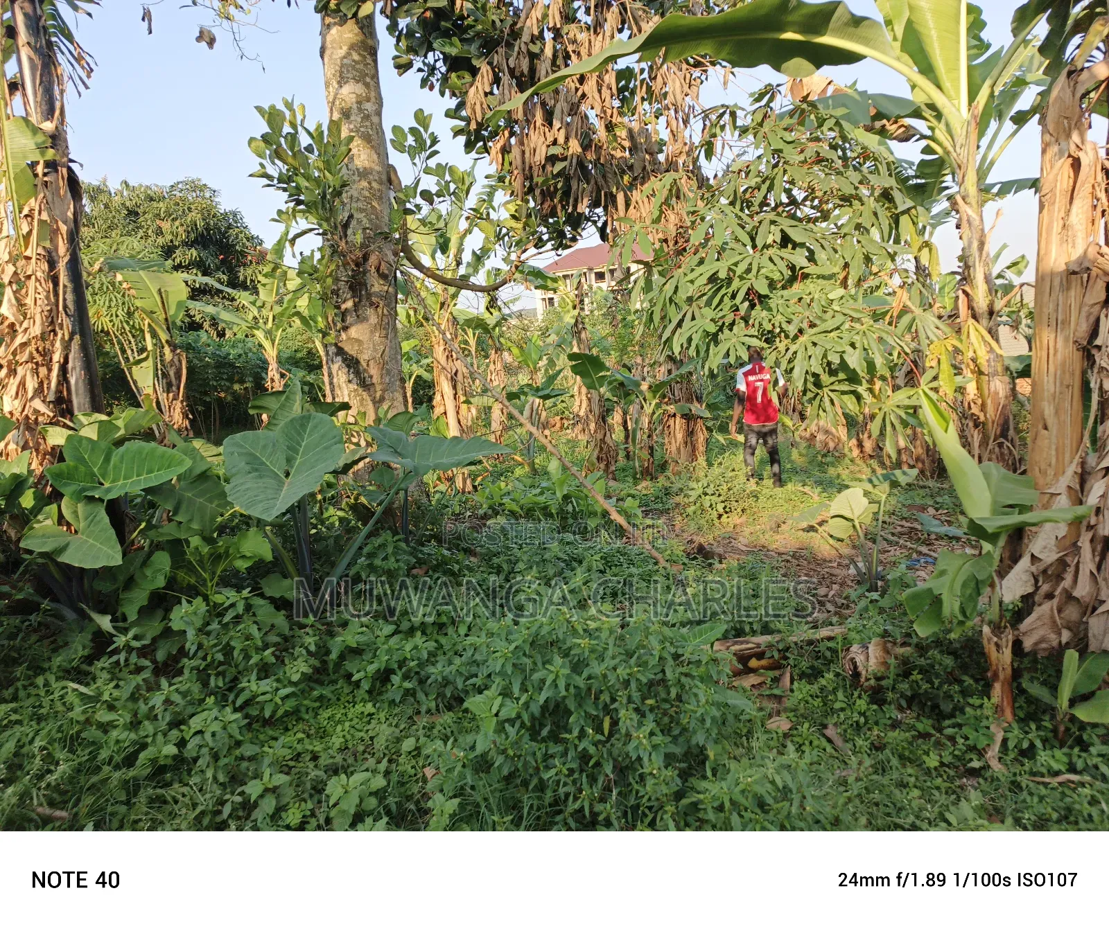 100by50ft Plot for Sale in Magere