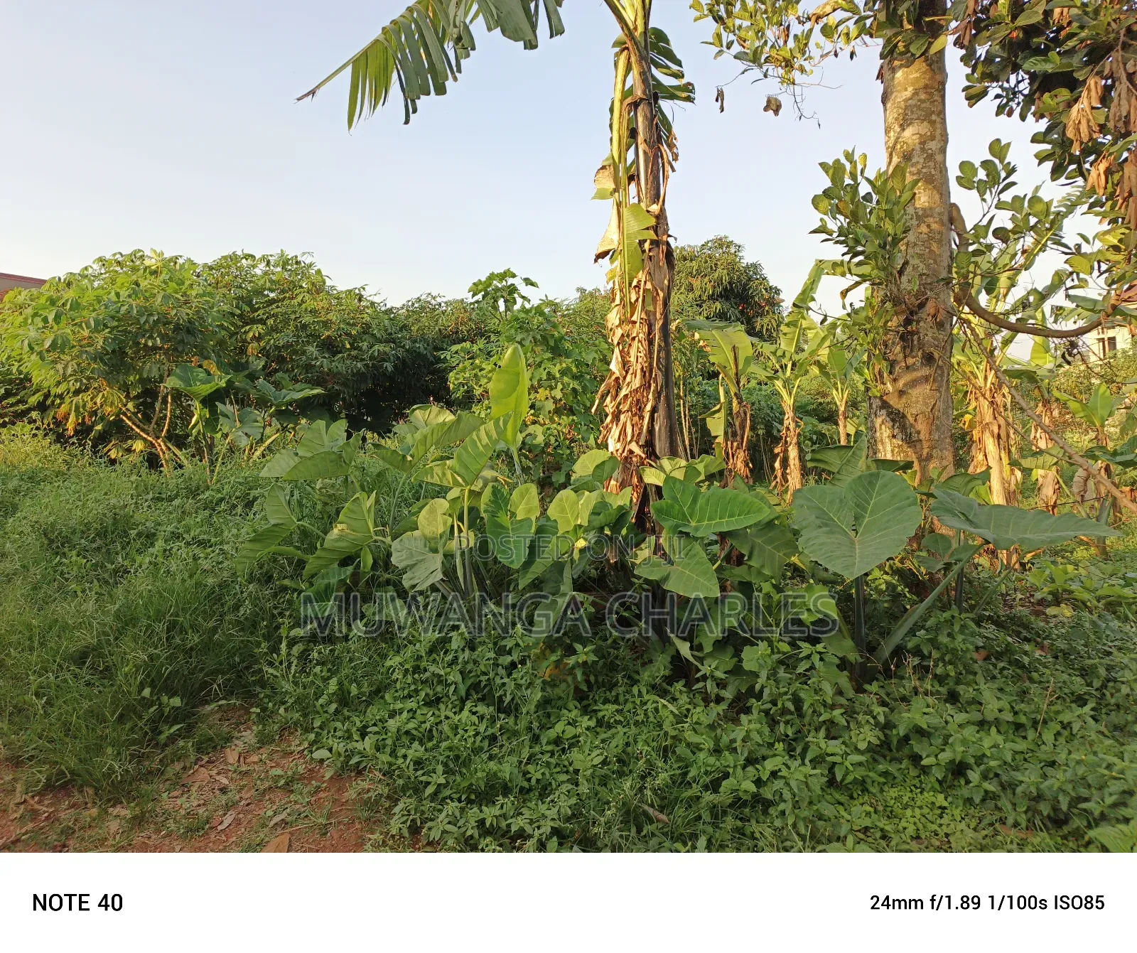 100by50ft Plot for Sale in Magere