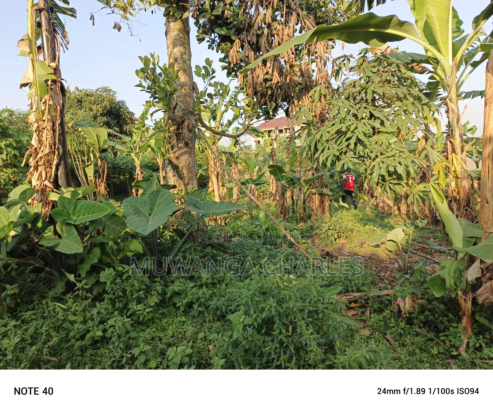 100by50ft Plot for Sale in Magere