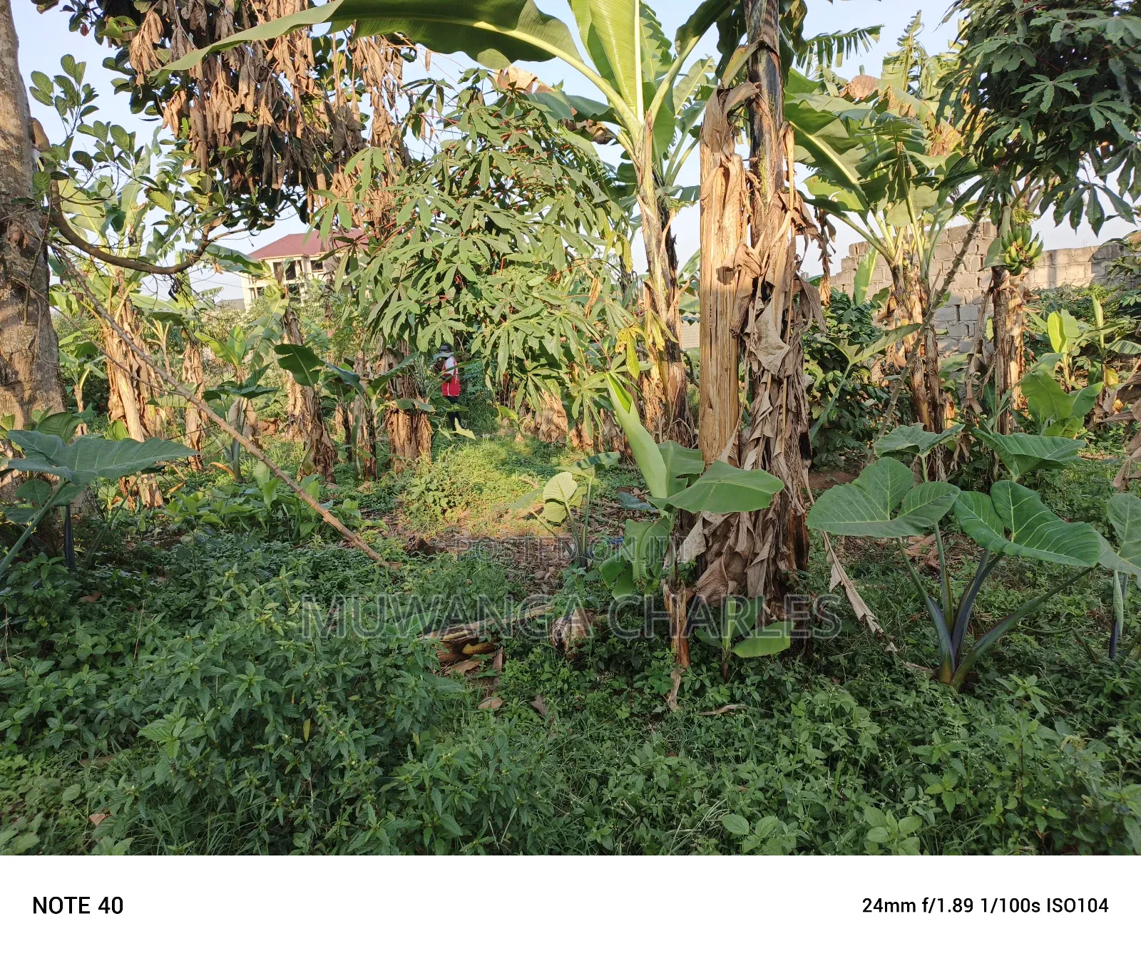 100by50ft Plot for Sale in Magere