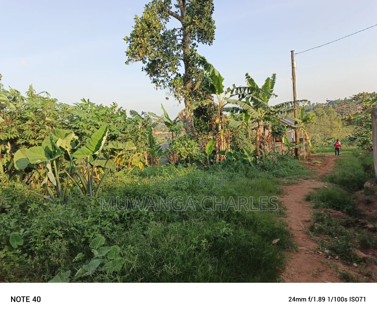 100by50ft Plot for Sale in Magere