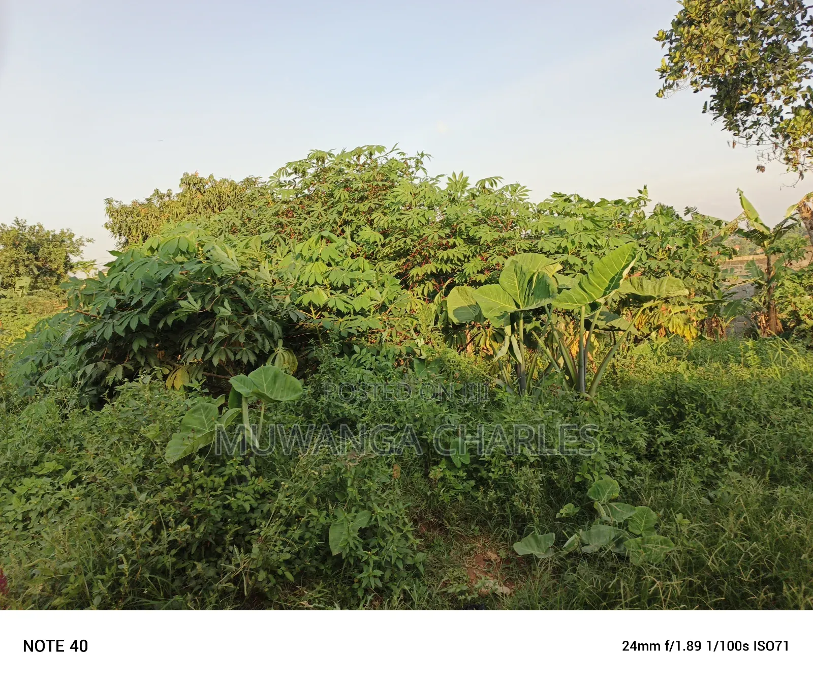 100by50ft Plot for Sale in Magere