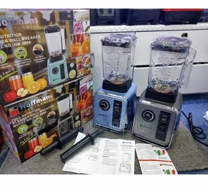 2l Hoffmans Powerful Full Nutrition Blender - Silver