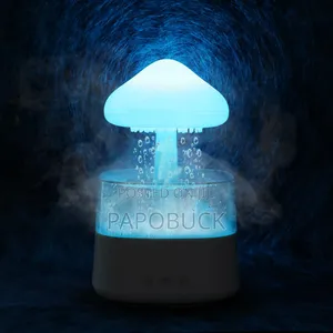 Rain Cloud Humidifier