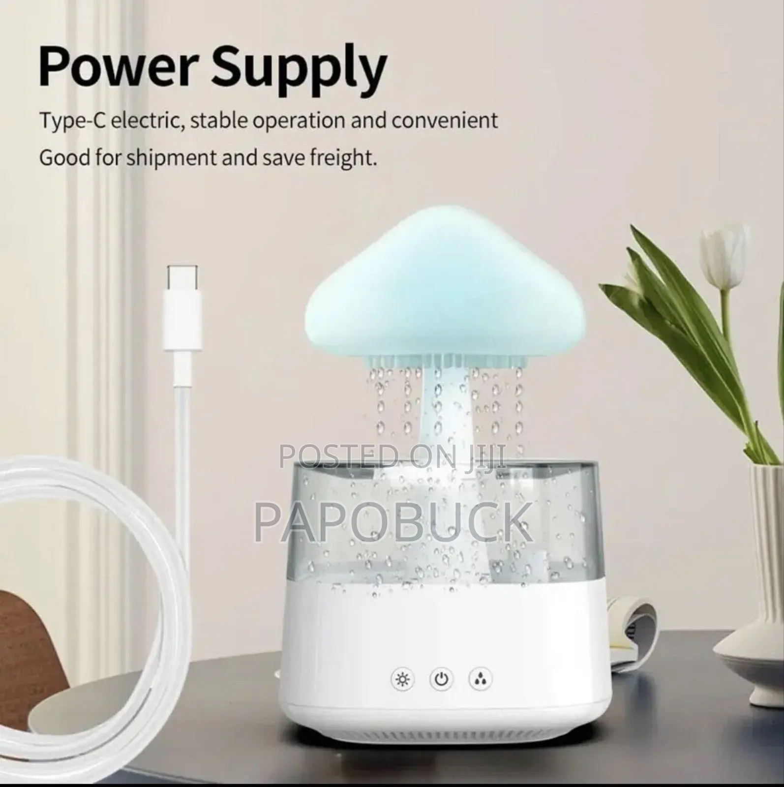 Rain Cloud Humidifier