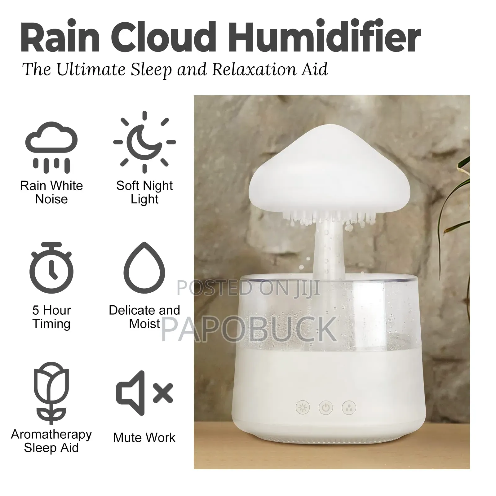 Rain Cloud Humidifier