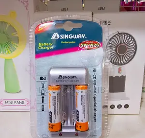 Singway Rechargeable Battery Charger