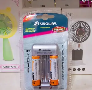 Singway Rechargeable Battery Charger