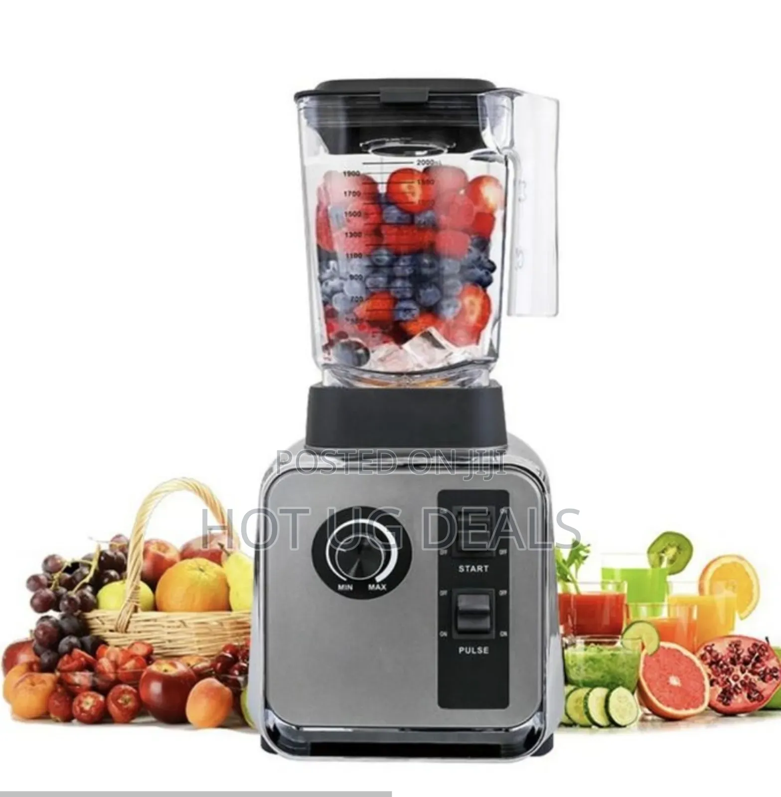 2l Hoffmans Powerful Full Nutrition Blender - Silver