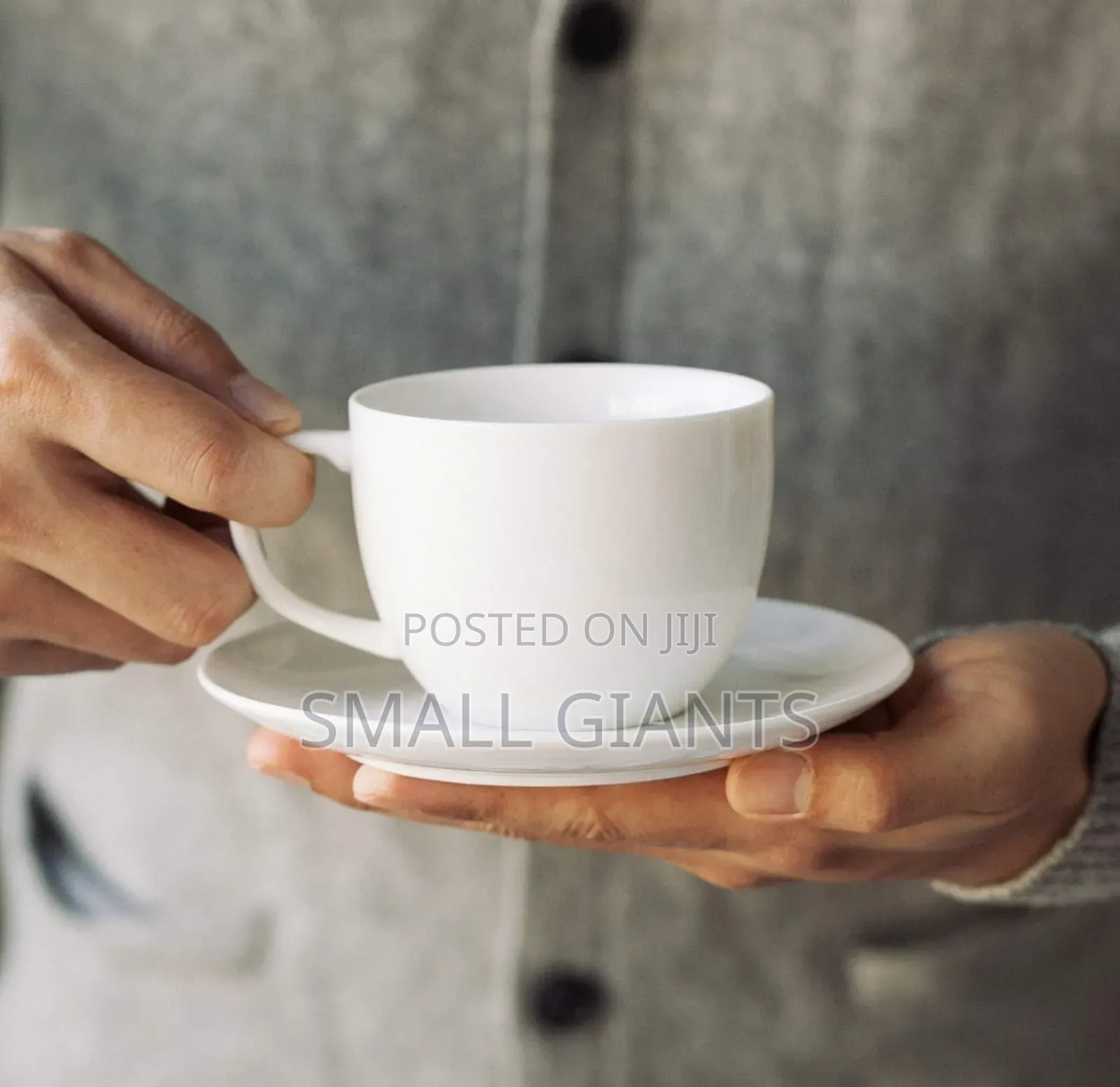 Set of Elegant Fine White Porcelain 6 Tea Cups and 6 Saucers