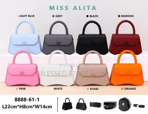 Ladies Classy Hand Bags