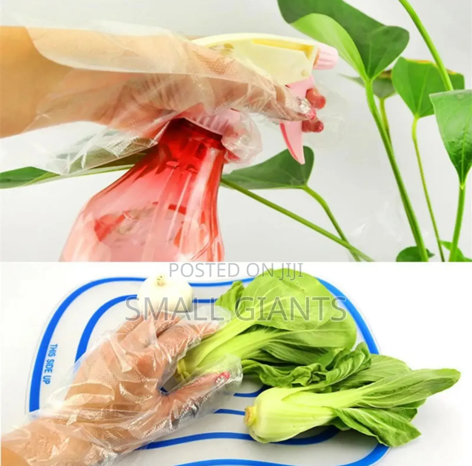 100pcs Disposable Gloves (Plastic)