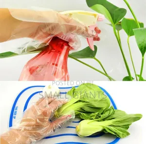 100pcs Disposable Gloves (Plastic)