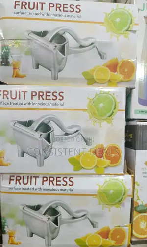 Manual Fruit Press