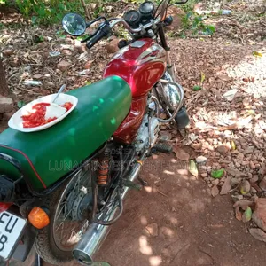 Bajaj Boxer 100 2024 Red