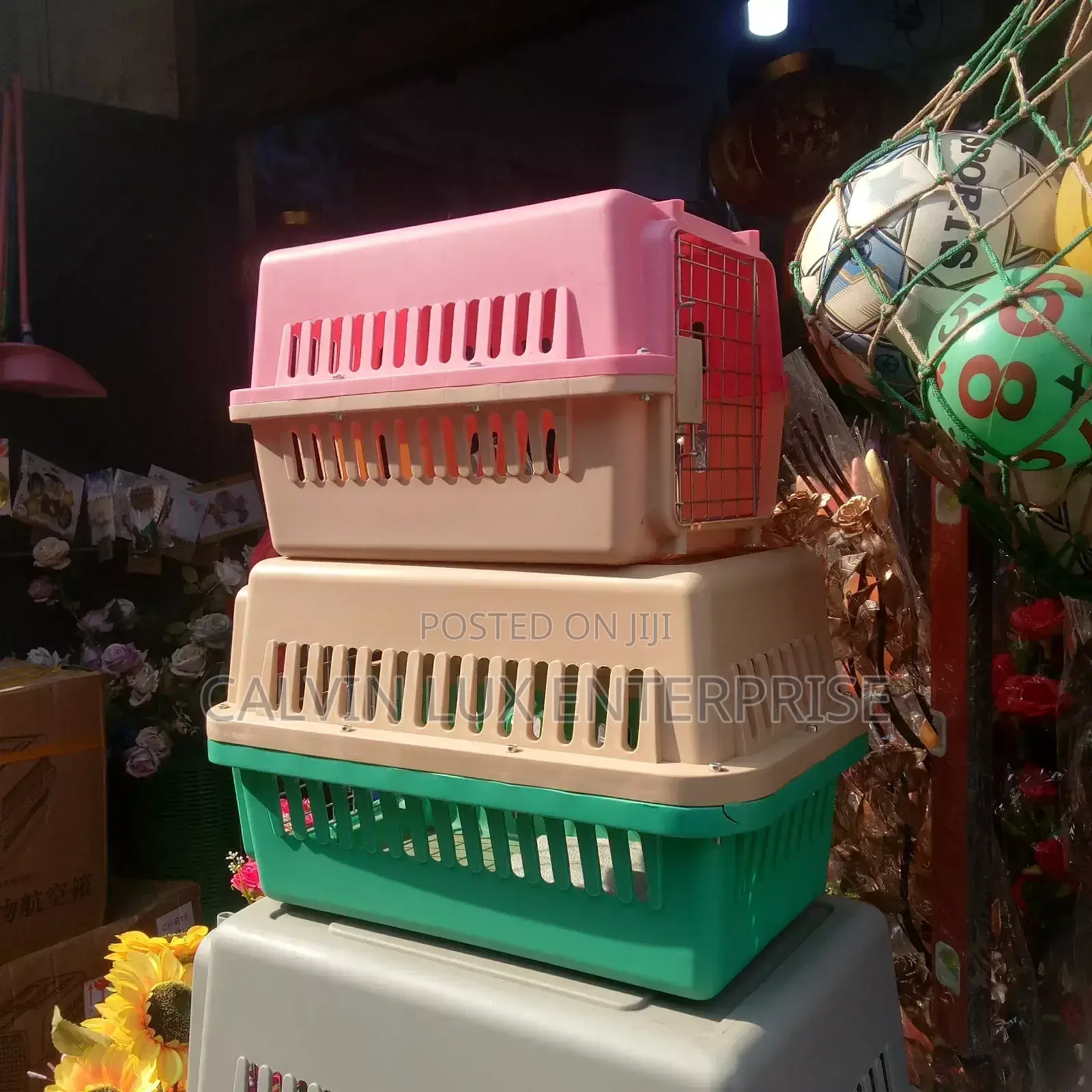 Domestic Animal Cages