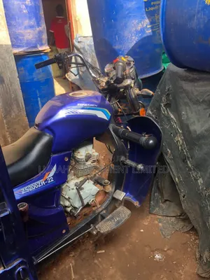 Tricycle 2023 Blue