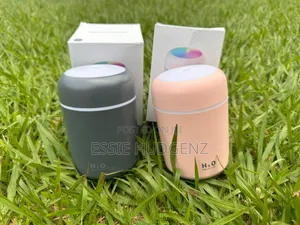 H20 Car Home Humidifier