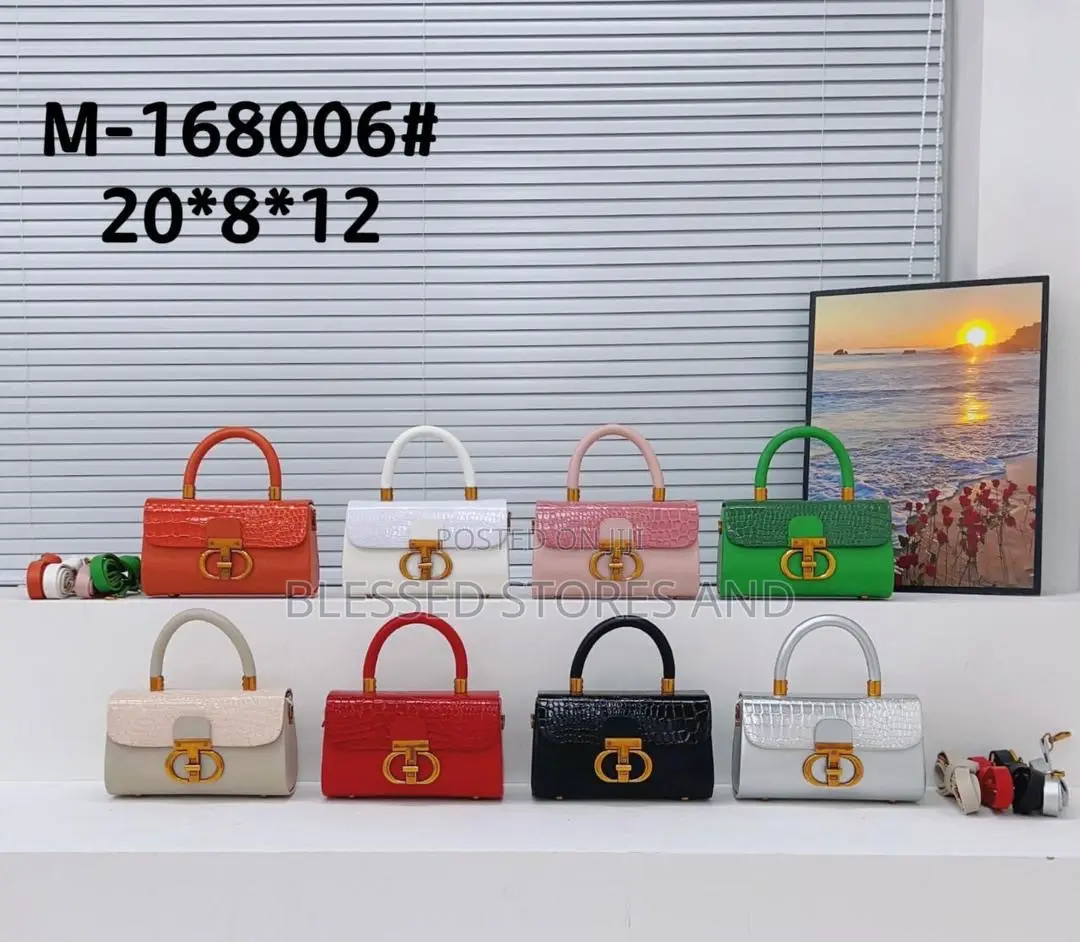 Ladies Classy Hand Bags