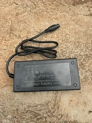 Hoverboard Charger