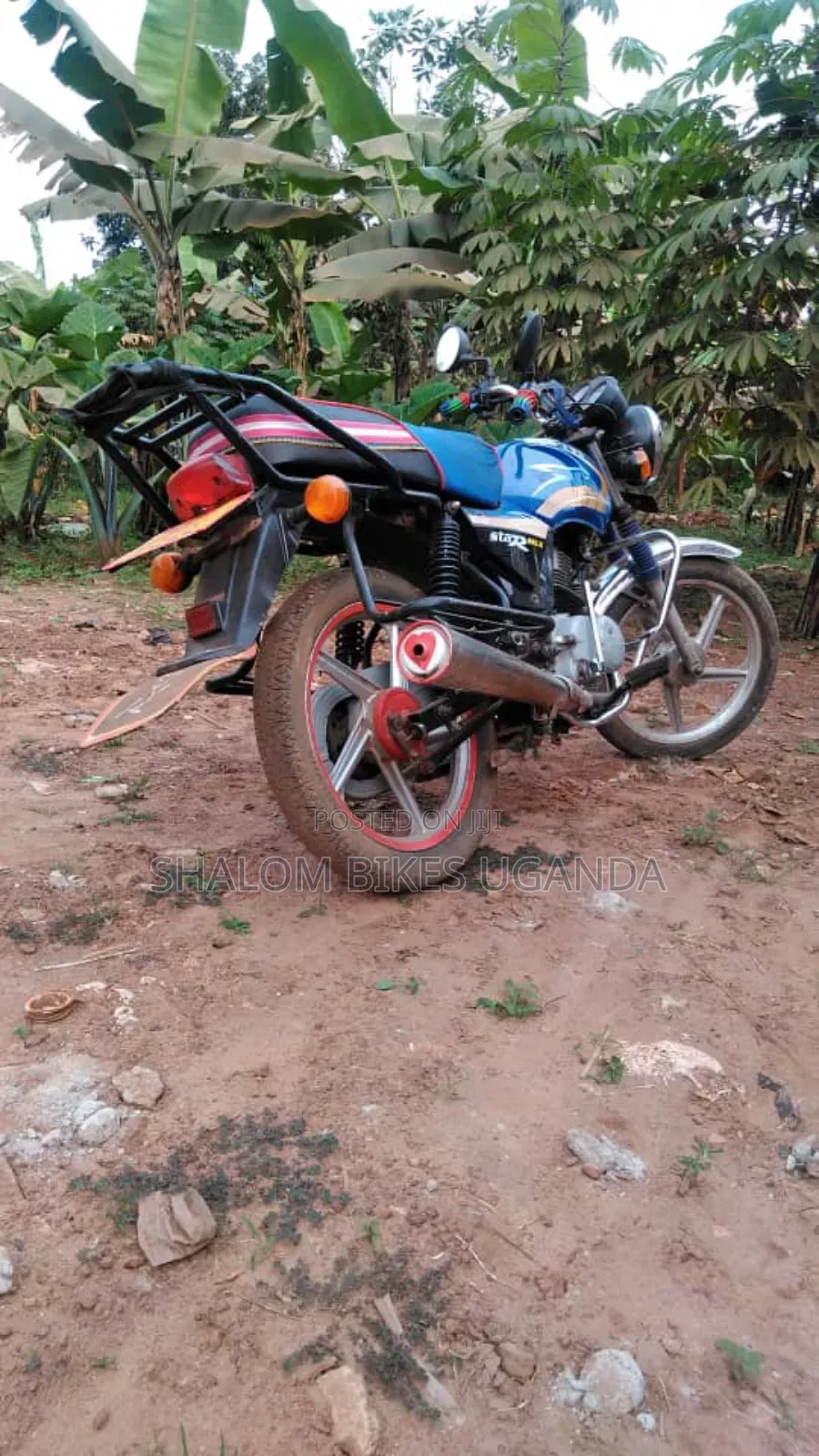 TVS 2015 Blue