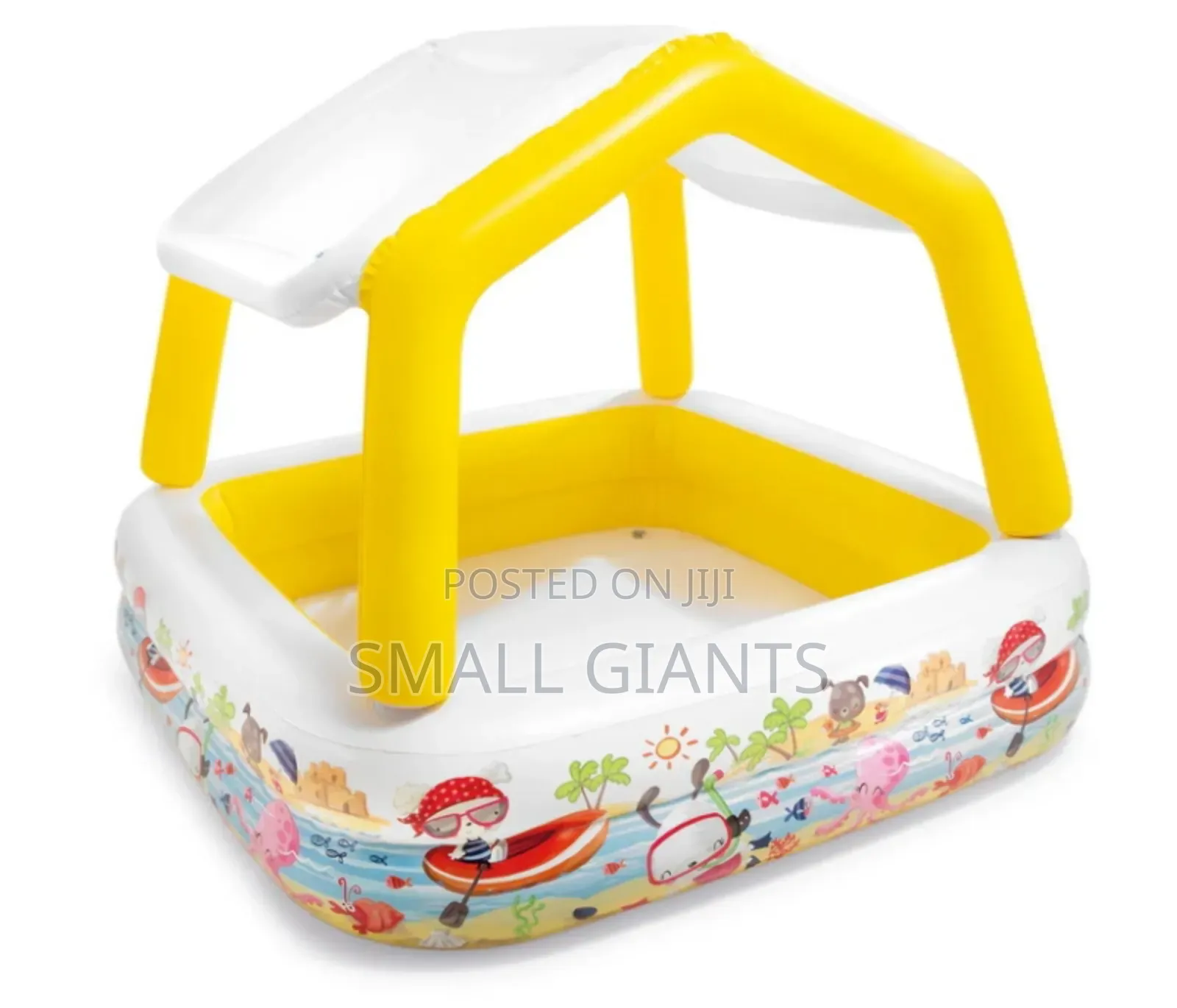 Intex Pool With Detachable Sun Shade
