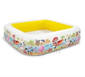 Intex Pool With Detachable Sun Shade