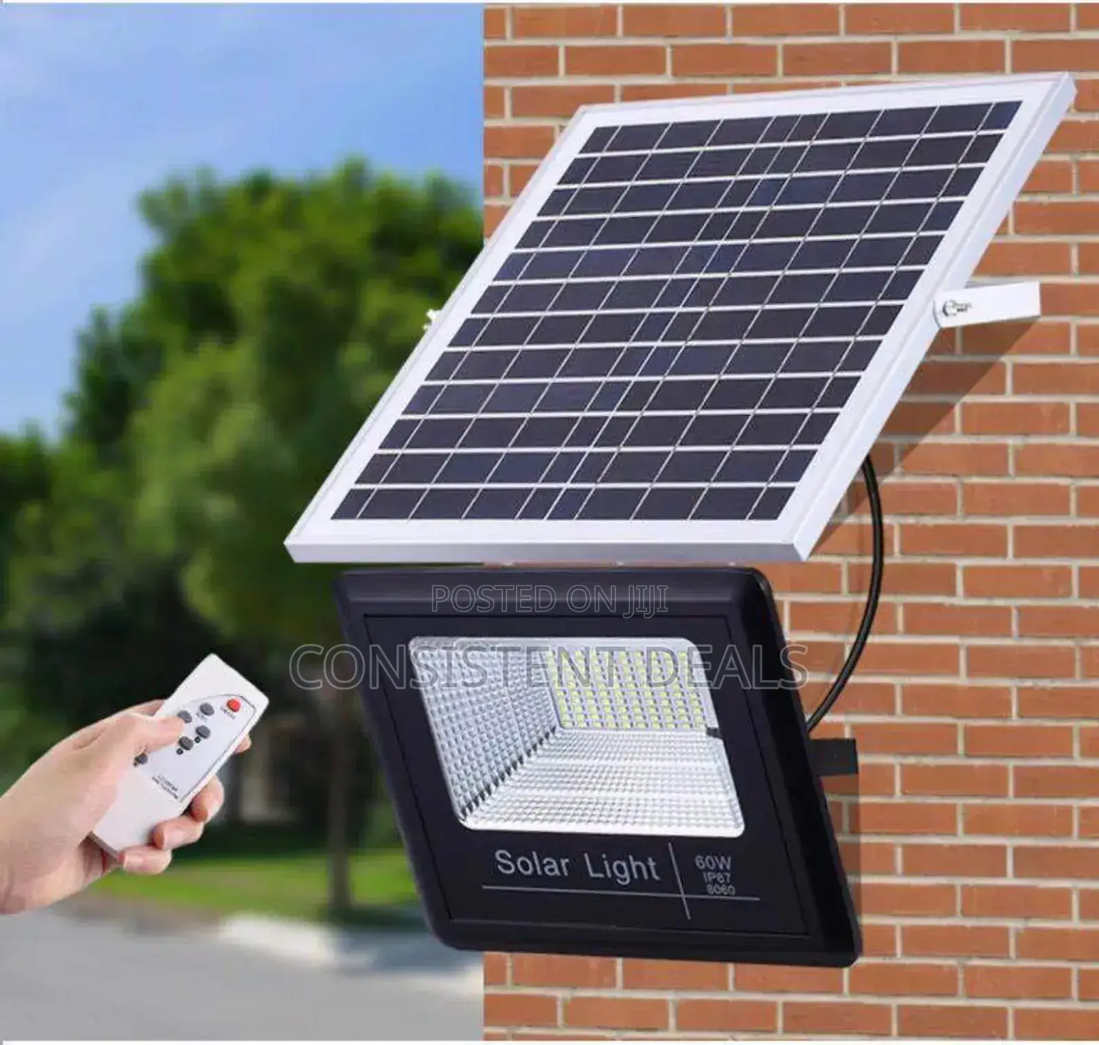Solar Street Flood Light