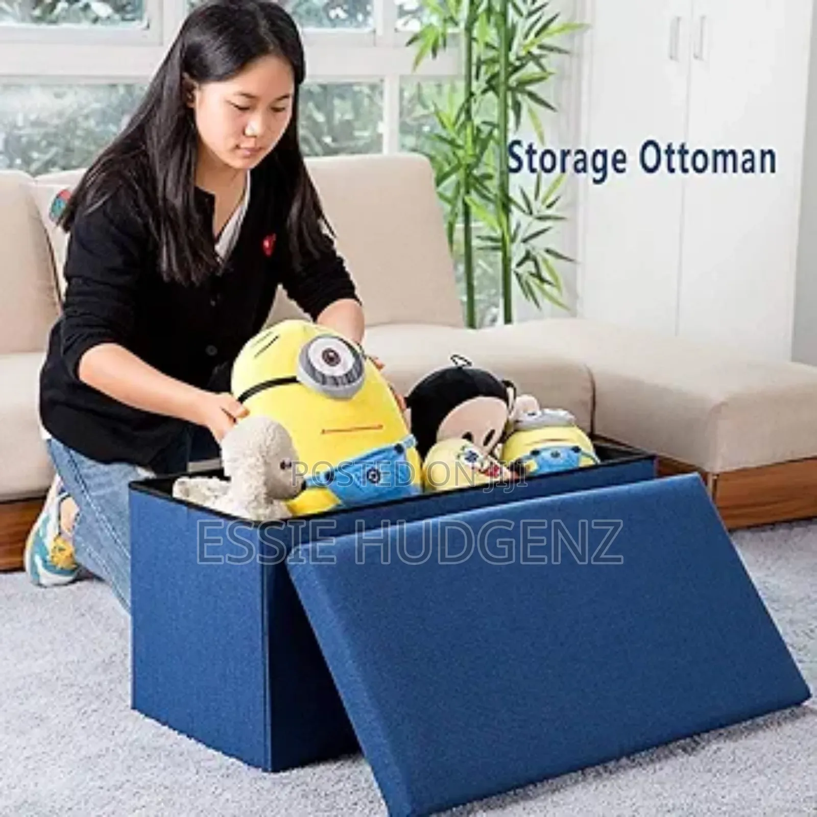 Storage/Seat Boxes