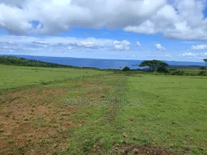 Lake View Plots in Kisigula-Buikwe
