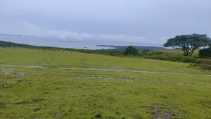 Lake View Plots in Kisigula-Buikwe