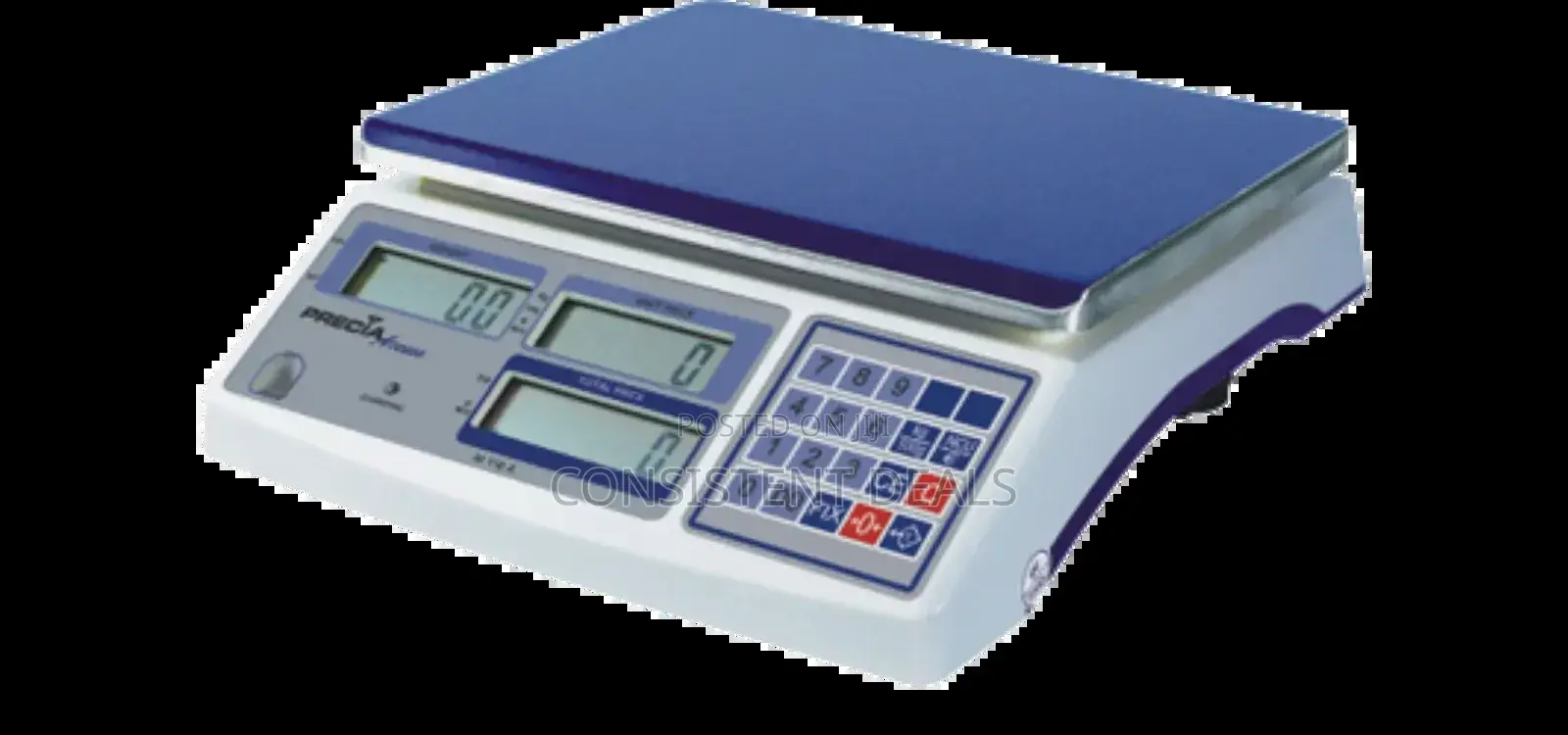 Digital Computing Kitchen Scale