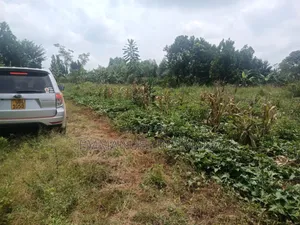 Photo - Plot for Sale Located in Kira Nyanja at 70m