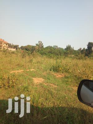 Deal, Kira Amazing Plot of Land for Sell