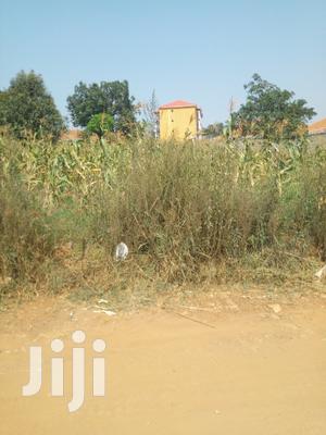 Deal, Kira Amazing Plot of Land for Sell