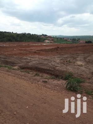 Deal, Kira Amazing Plot of Land for Sell