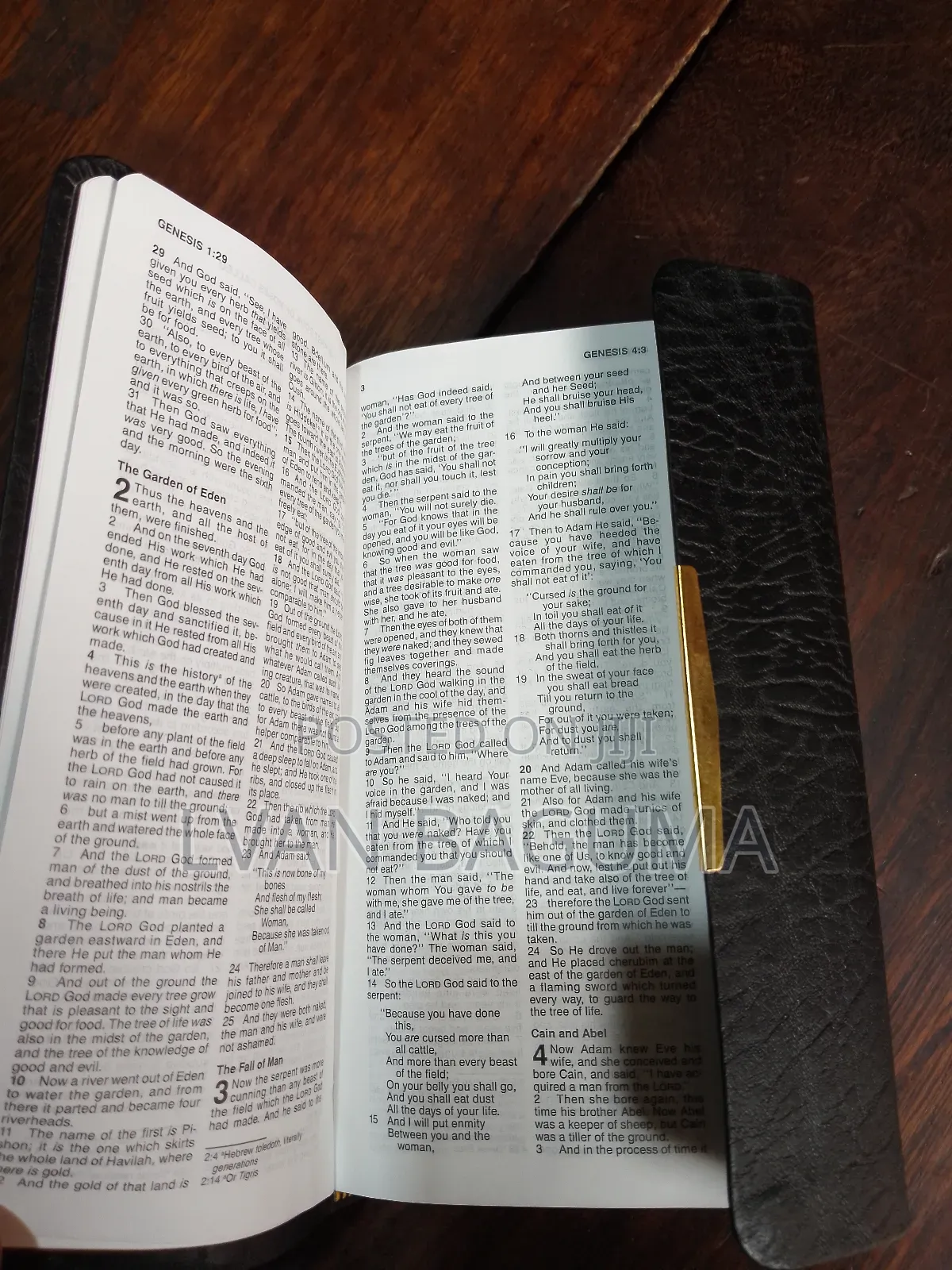 NKJV (Thomas Nelson) Check Bible